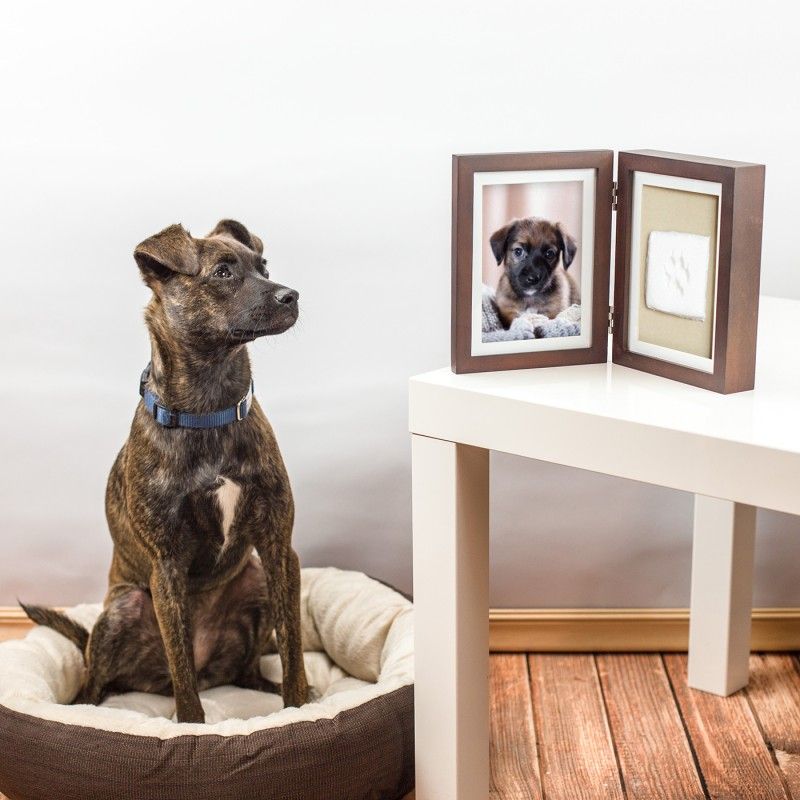PEARHEAD Double cadre photo empreinte en argile – Cadre pliant chien et chat – photo 1