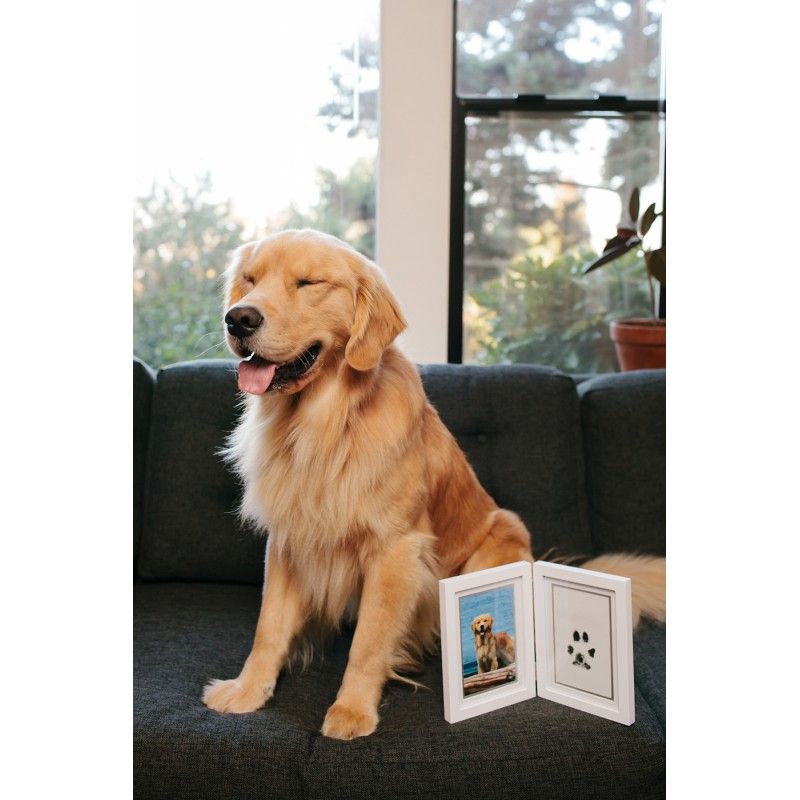 PEARHEAD Double cadre photo et empreinte à l'encre – Souvenir chien et chat – photo 6