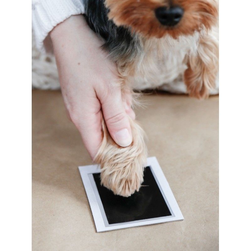 PEARHEAD Double cadre photo et empreinte à l'encre – Souvenir chien et chat – photo 4
