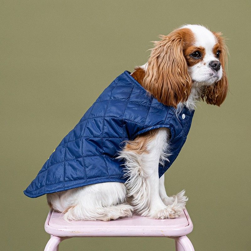 BANDIT Doudoune – Doudoune matelassée en nylon recyclé pour chien – photo 7