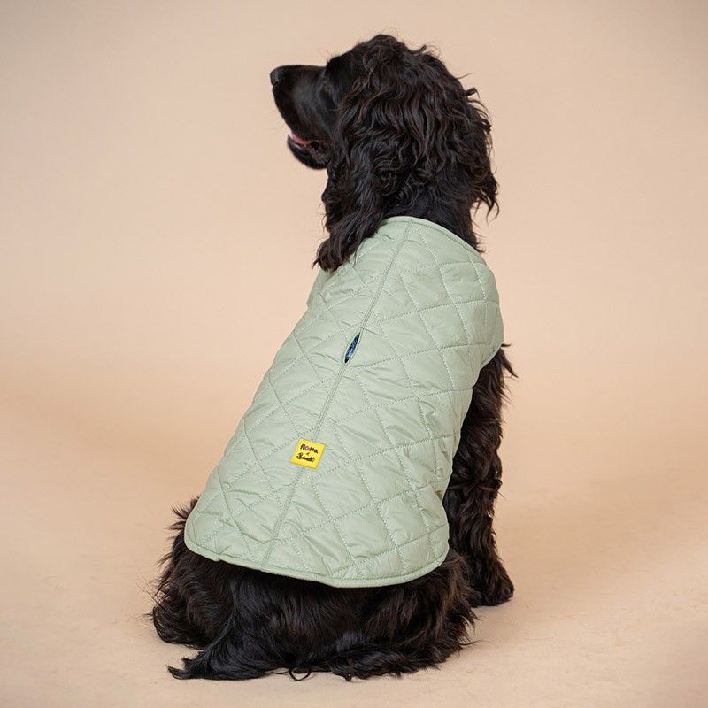 BANDIT Doudoune – Doudoune matelassée en nylon recyclé pour chien – photo 6
