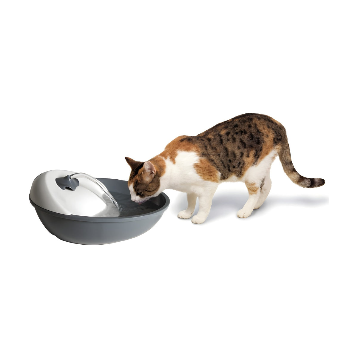 CAMON Fontaine à eau 1,7 L – Fontaine filtrante pour chien et chat – photo 4