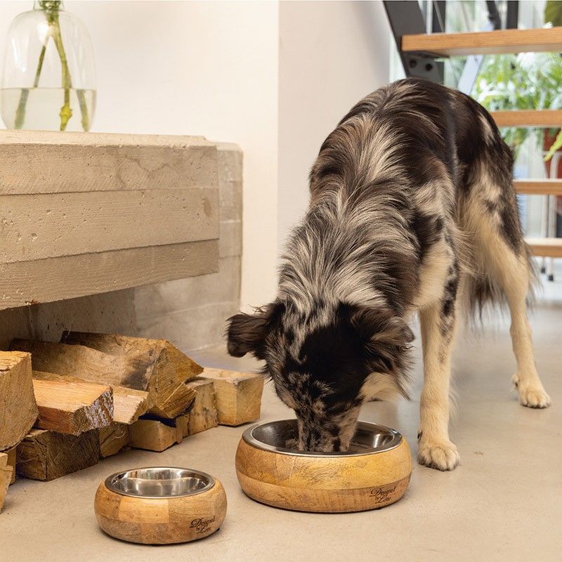 DESIGNED BY LOTTE Gamelle Mandira – Gamelle bois et bol inox pour chien et chat – photo 4