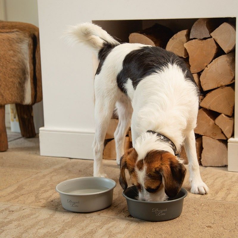 DESIGNED BY LOTTE Gamelle Feribo – Gamelle inox finition mate pour chien et chat – photo 2