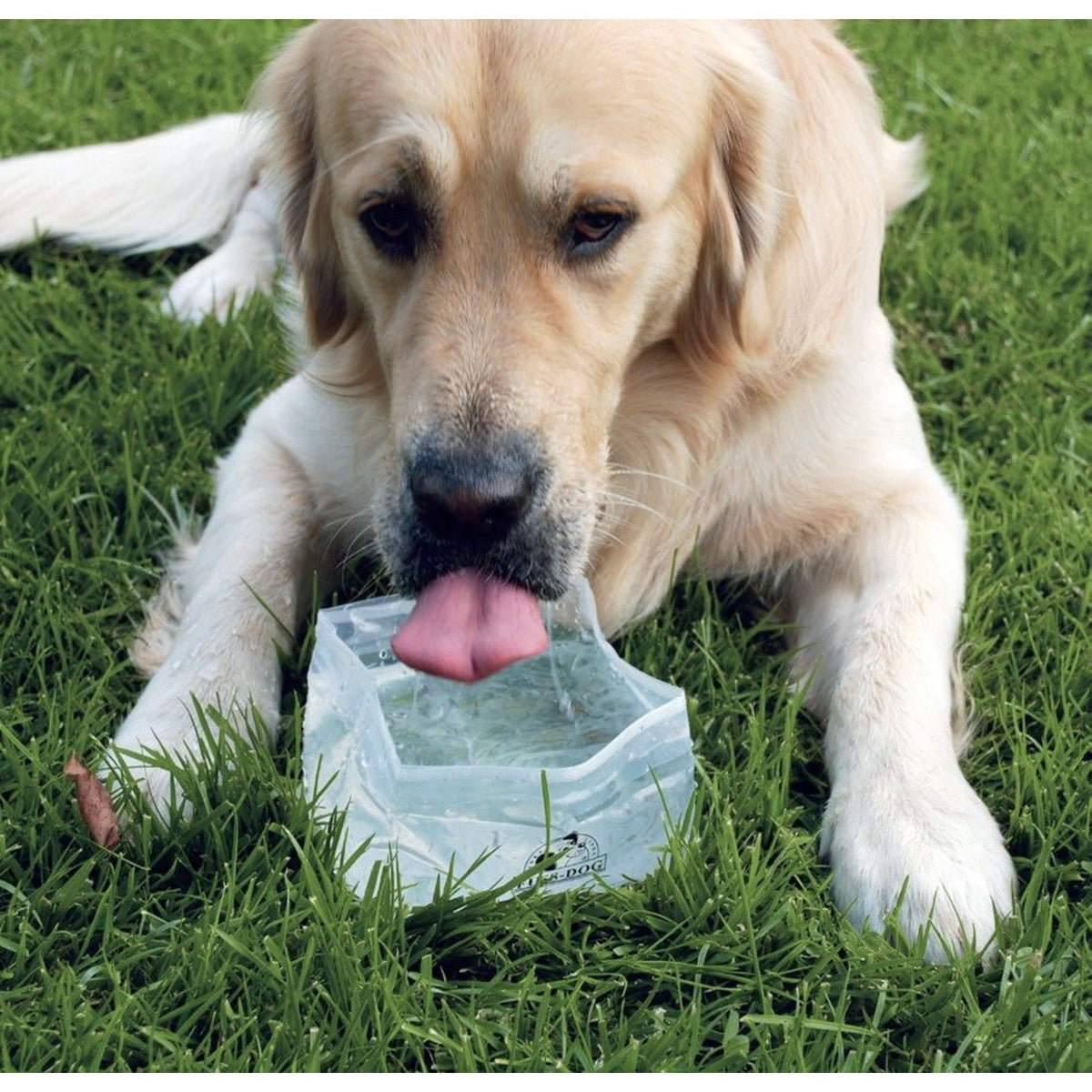 CAMON Gamelle pliable 1 L – Gamelle souple de voyage pour chien et chat – photo 2
