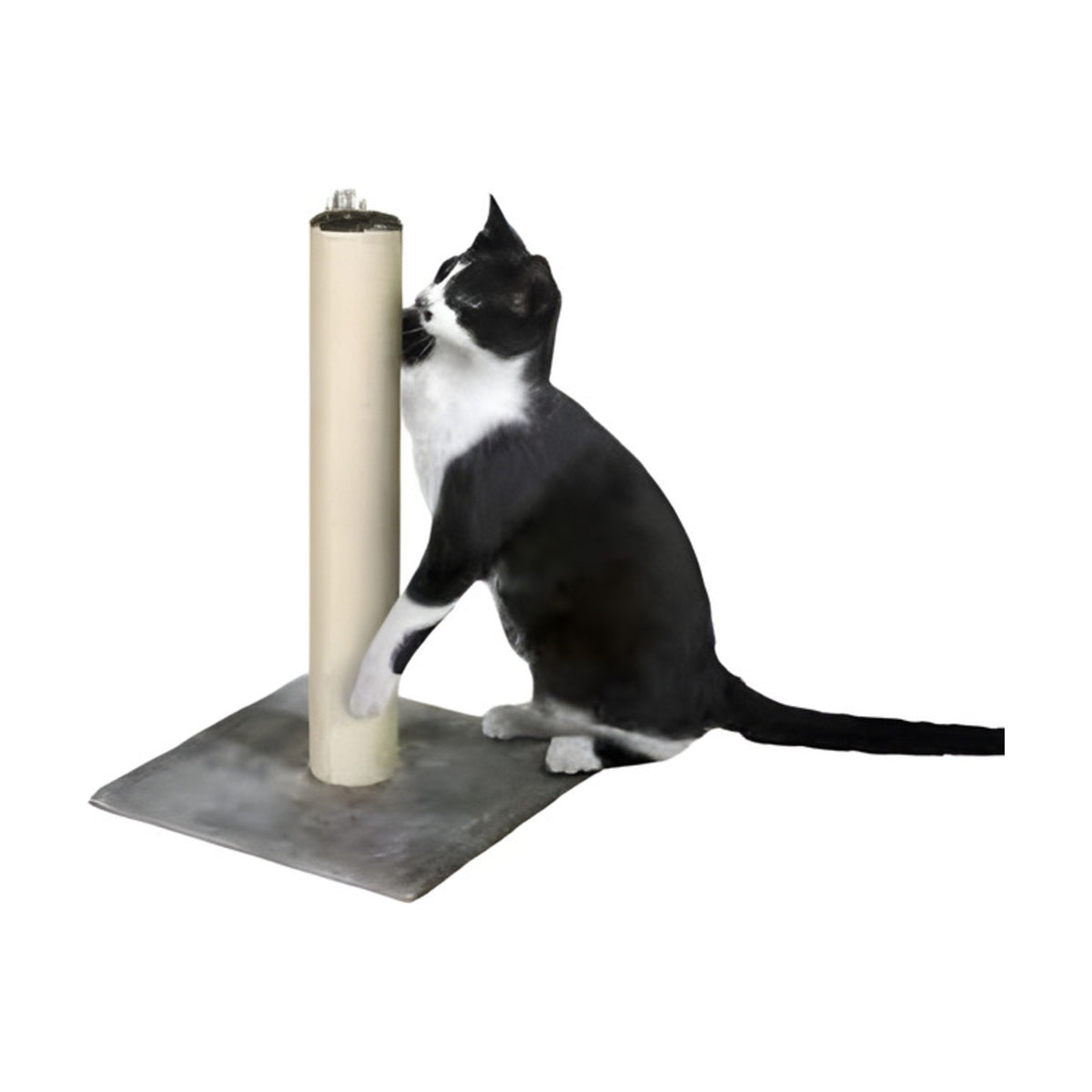 Griffoir poteau 60 cm