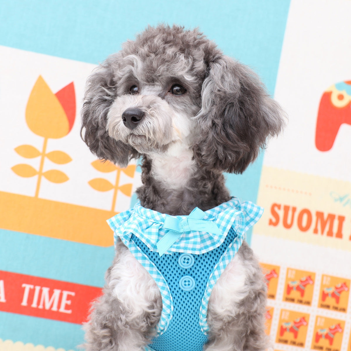 PUPPIA Harnais veste Vivien – Harnais vichy à collerette pour petit chien – photo 5