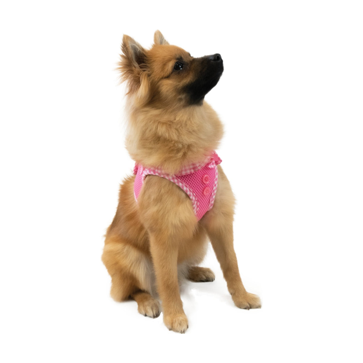 PUPPIA Harnais veste Vivien – Harnais vichy à collerette pour petit chien, rose – photo 2