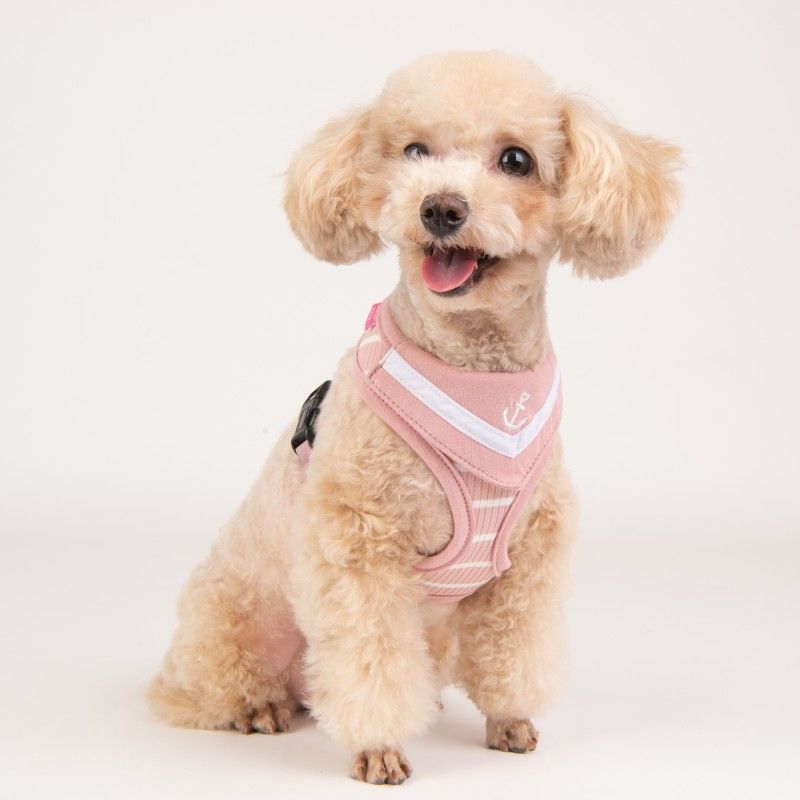 PINKAHOLIC Harnais Cordelia – Harnais marinière avec bandana pour chien – photo 3