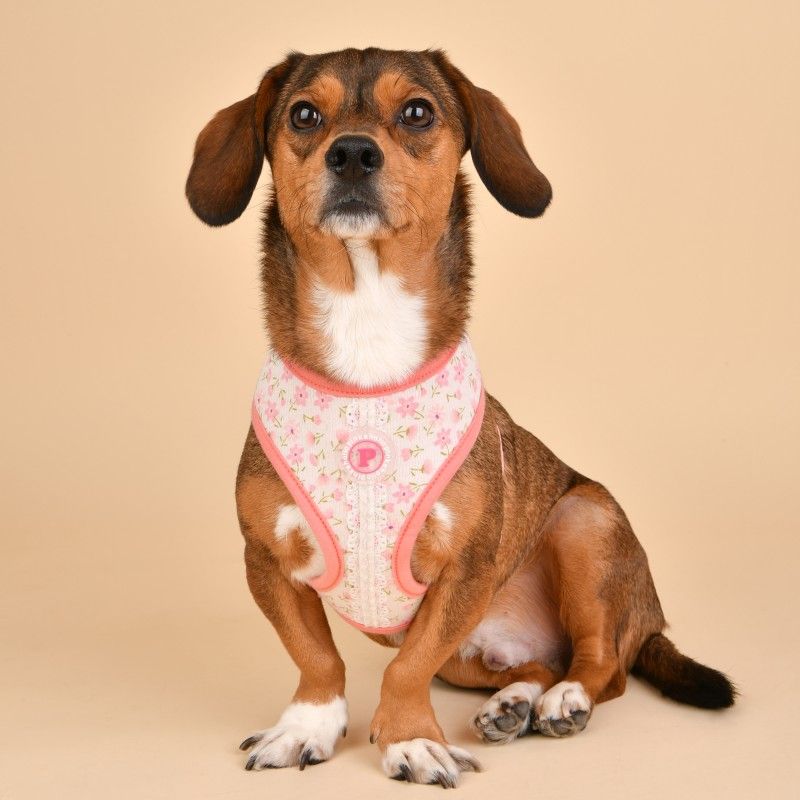 PINKAHOLIC Harnais réglable Lobelia – Harnais fleuri pour chien – photo 7