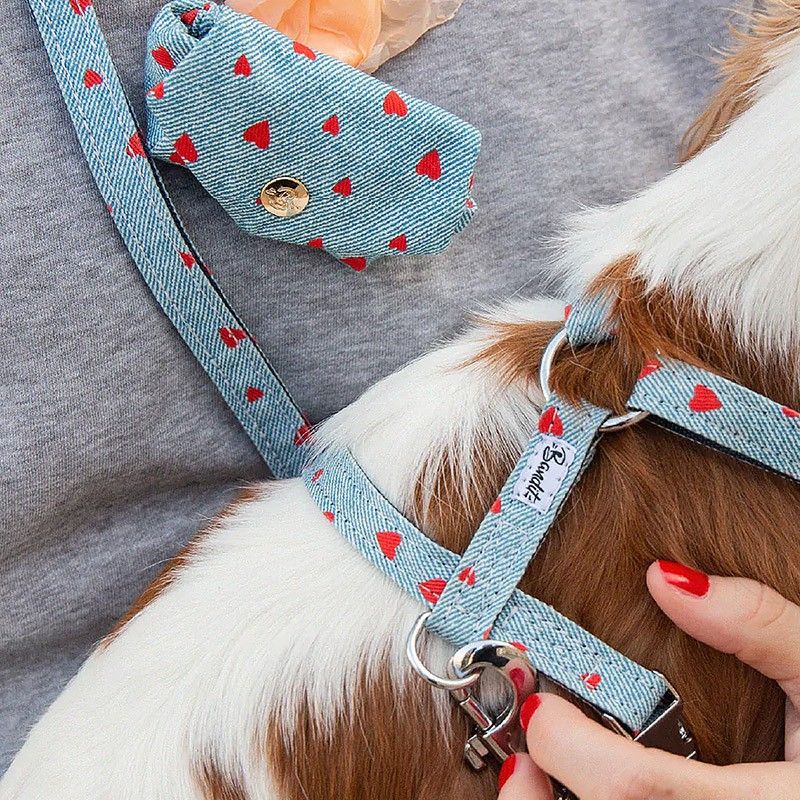 BANDIT Harnais Clara – Harnais en H denim à cœurs pour chien – photo 4