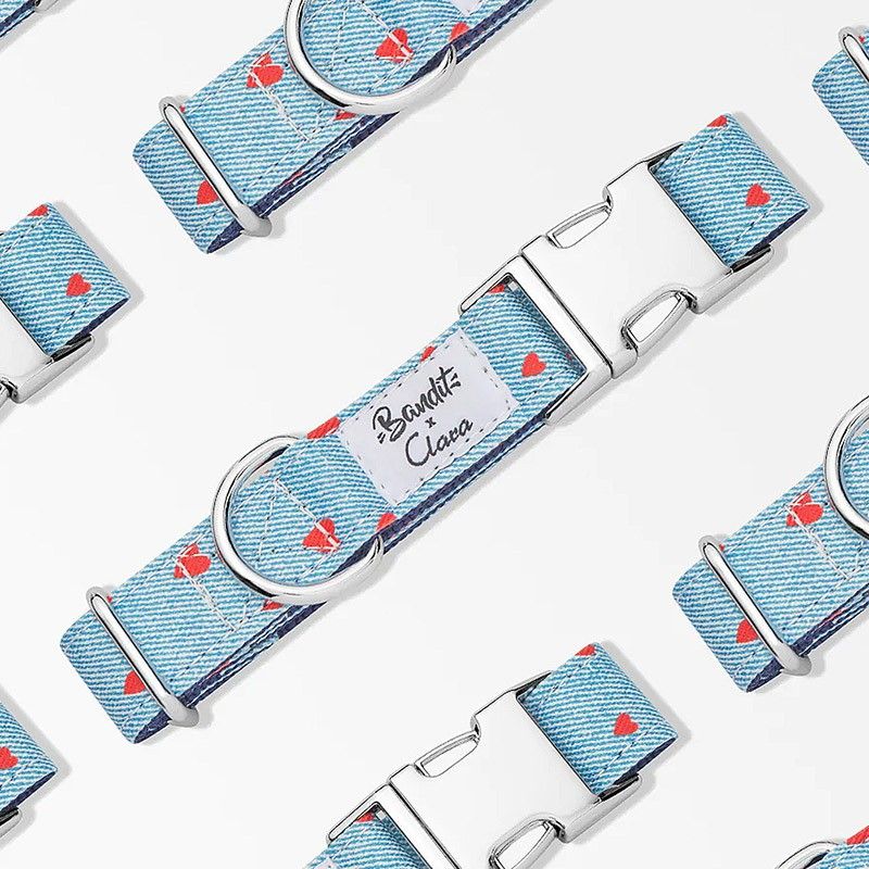 BANDIT Laisse Clara – Laisse denim à cœurs pour chien 120 cm – photo 4