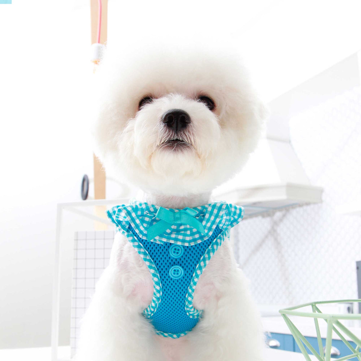 PUPPIA Harnais réglable Vivien – Harnais vichy à collerette pour chien, bleu – photo 2