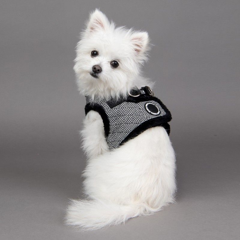 PUPPIA Harnais veste Gaspar – Harnais doublé fourrure pour petit chien – photo 3