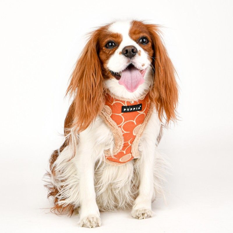 PUPPIA Harnais réglable Florent – Doublé fourrure pour chien, orange – photo 5