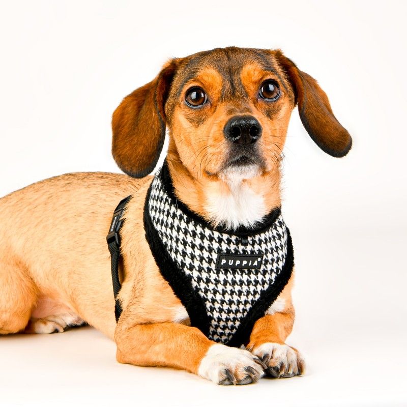 PUPPIA Harnais réglable Shepherd noir – Harnais doublé fourrure pour chien – photo 5