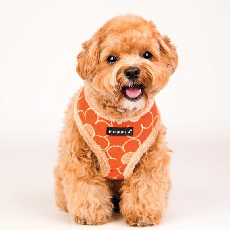 PUPPIA Harnais réglable Florent – Doublé fourrure pour chien, orange – photo 1
