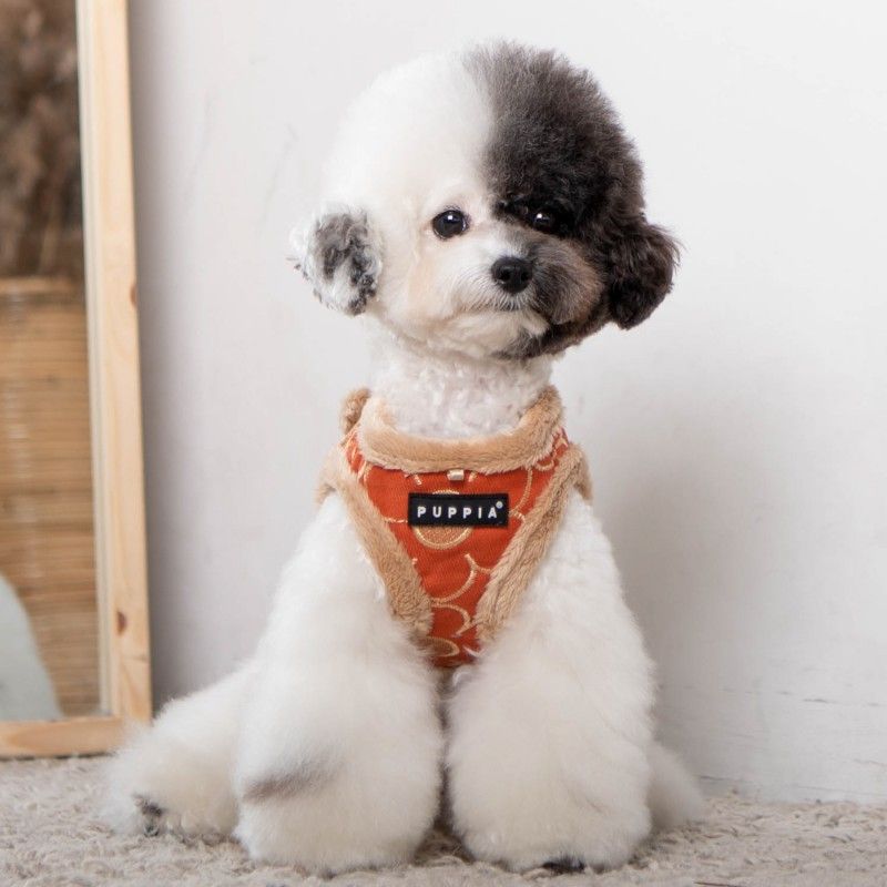PUPPIA Harnais réglable Florent – Doublé fourrure pour chien, orange – photo 4