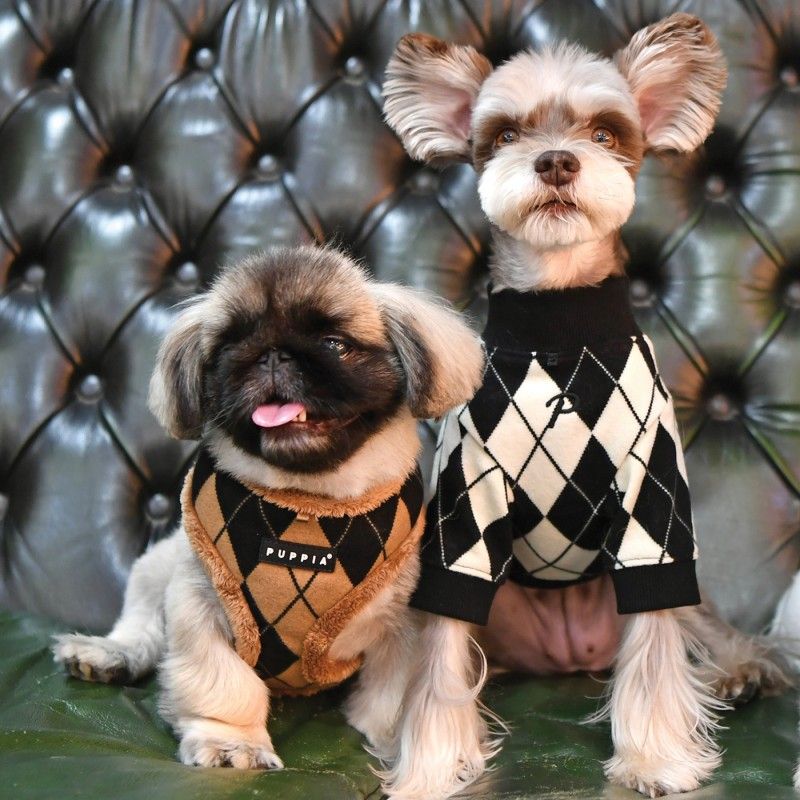 PUPPIA Pull Jaden – Pull jacquard doublé fourrure pour chien – photo 5