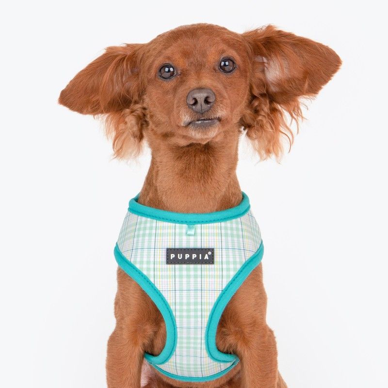 PUPPIA Harnais réglable Luke – Harnais quadrillé à liseré pour petit chien – photo 4