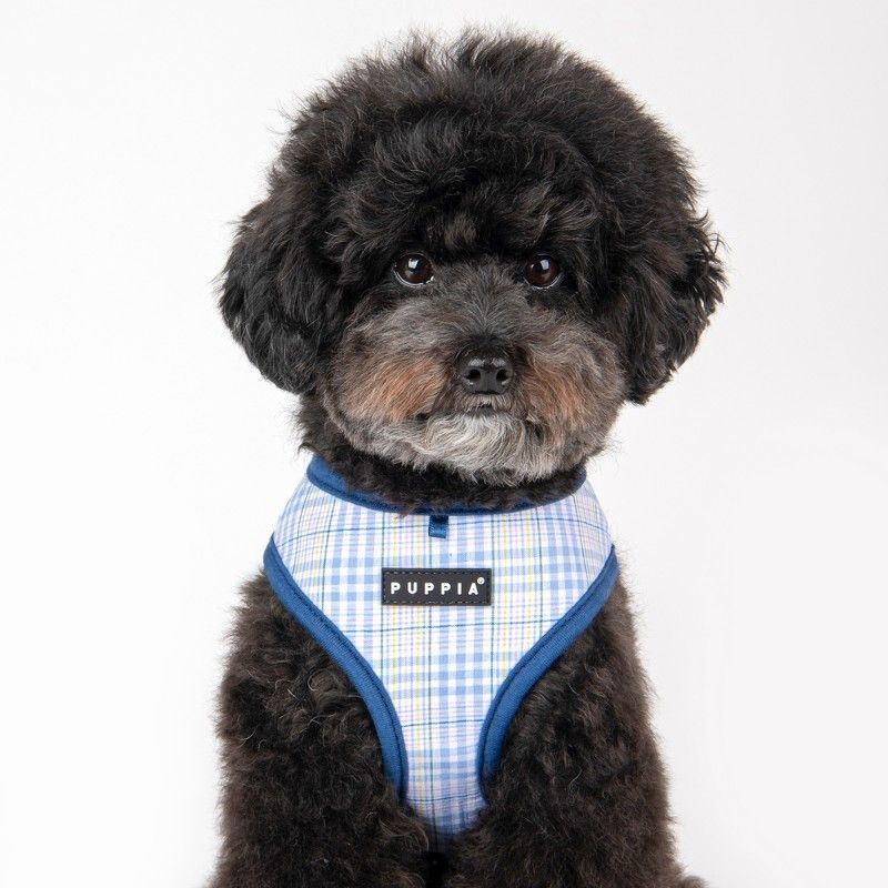PUPPIA Harnais réglable Luke – Harnais quadrillé à liseré pour petit chien – photo 5