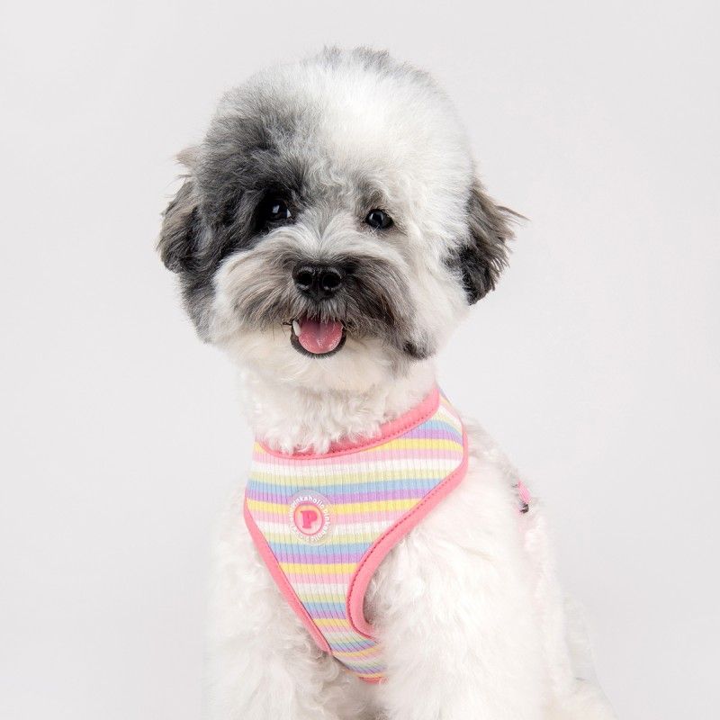 PINKAHOLIC Harnais réglable Maire – Harnais rayé arc-en-ciel pour chien – photo 7