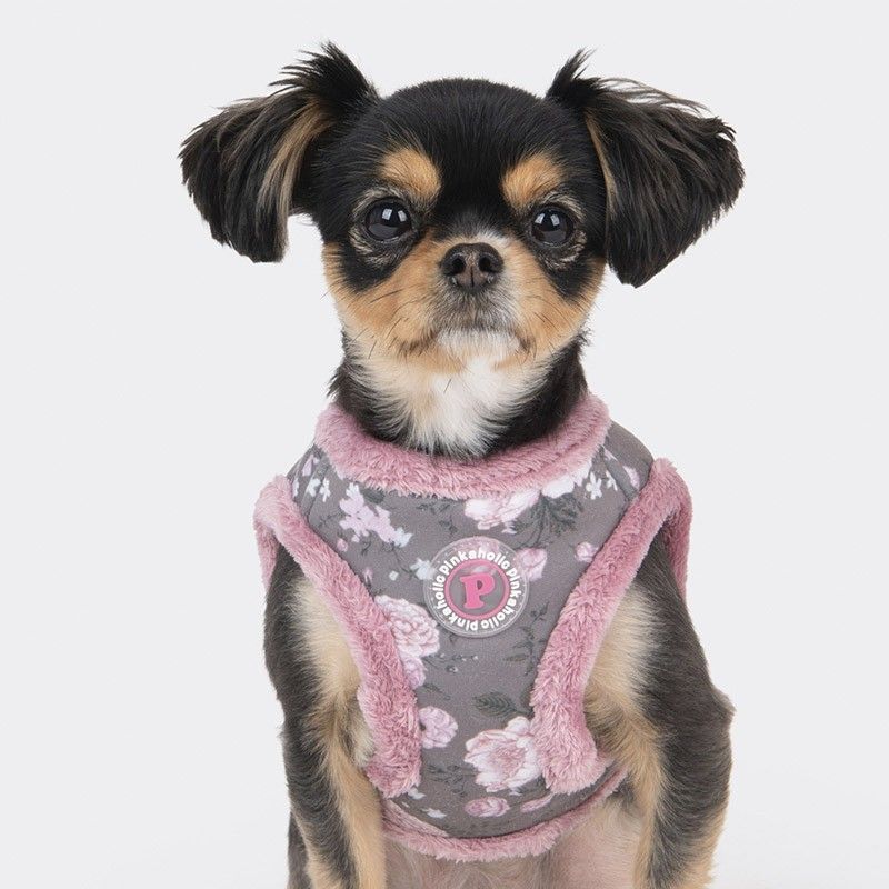 PINKAHOLIC Harnais veste Calla – Harnais fourrure à fleurs pour petit chien – photo 7