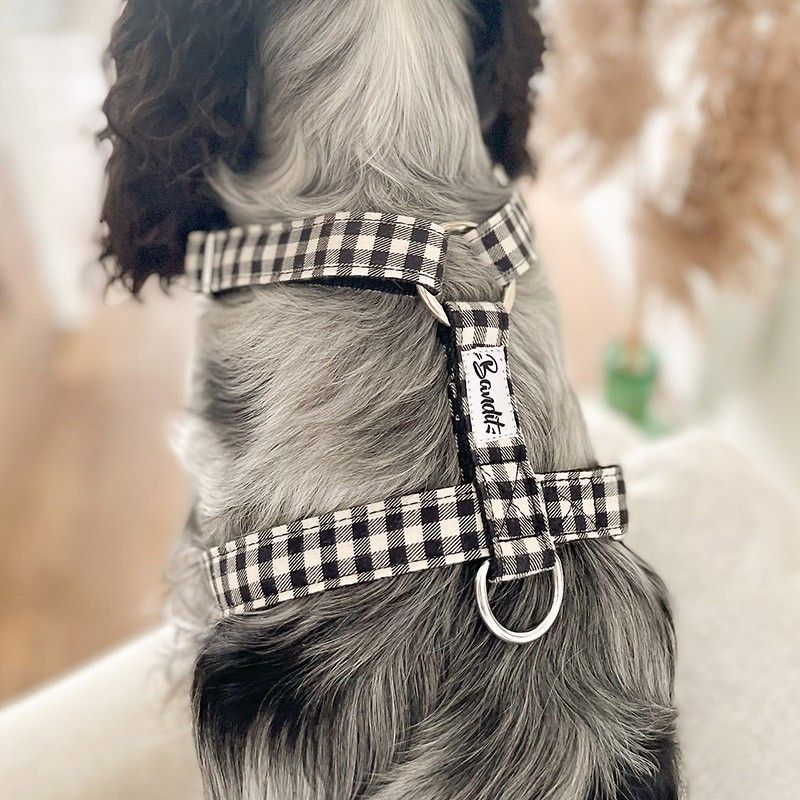 BANDIT Harnais Veni Vidi Vichy – Harnais en H vichy noir et blanc pour chien – photo 1