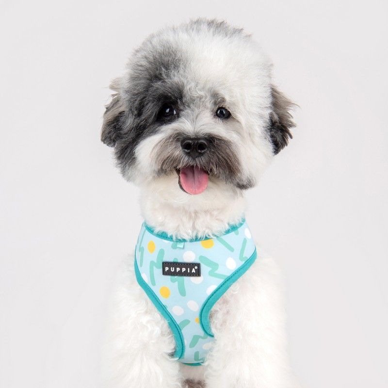 PUPPIA Harnais veste Fête – Harnais à pois et zigzag pour petit chien – photo 4