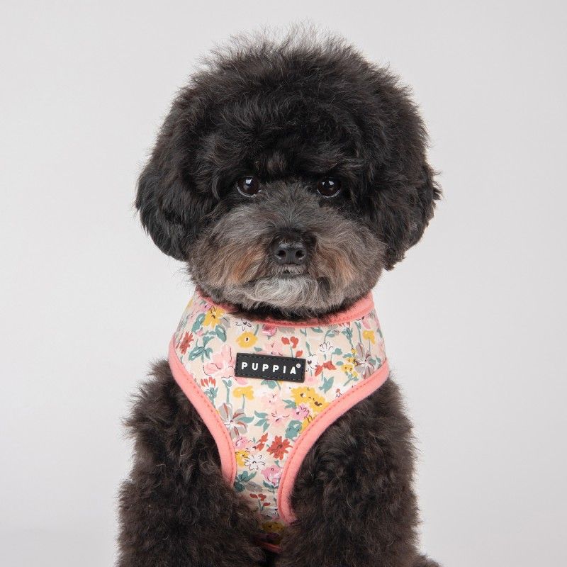 PUPPIA Harnais veste Lita – Harnais fleuri en coton pour petit chien – photo 5