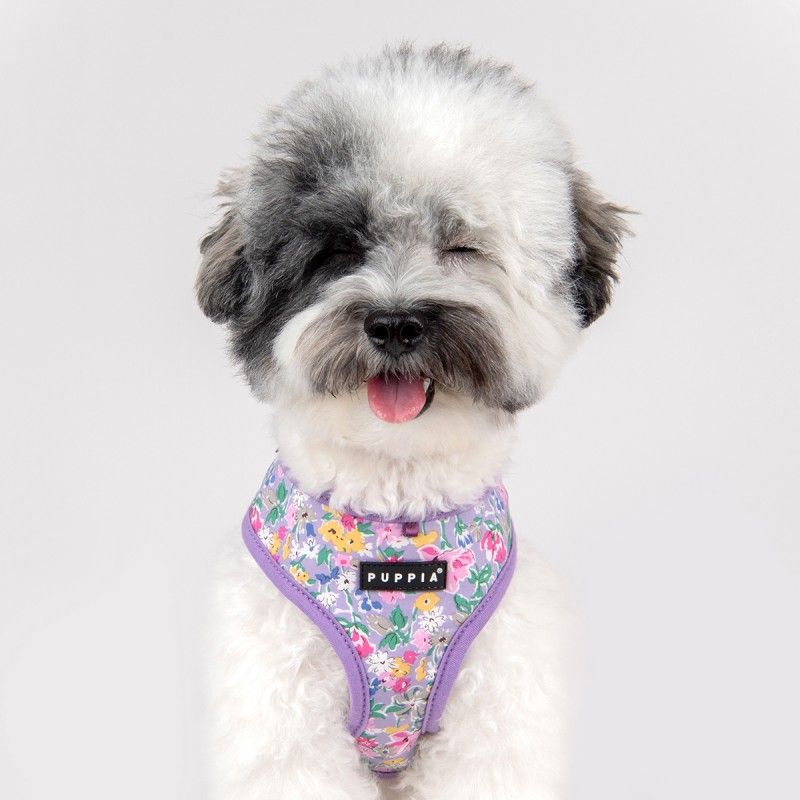 PUPPIA Harnais veste Lita – Harnais fleuri en coton pour petit chien – photo 4