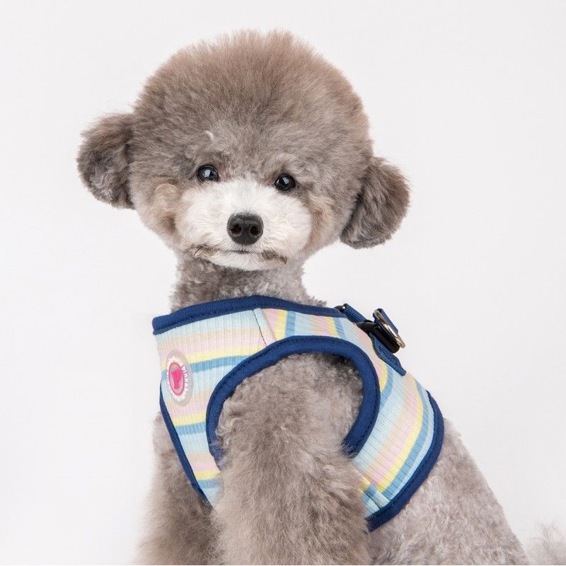 PINKAHOLIC Harnais veste Maire – Harnais rayé arc-en-ciel pour petit chien – photo 6