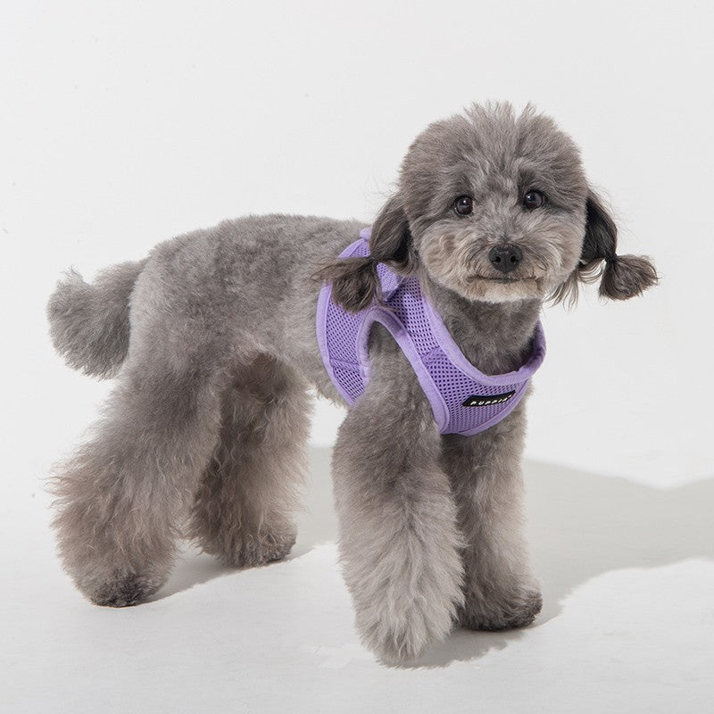 PUPPIA Harnais veste Soft violet – Harnais uni du quotidien pour petit chien – photo 5