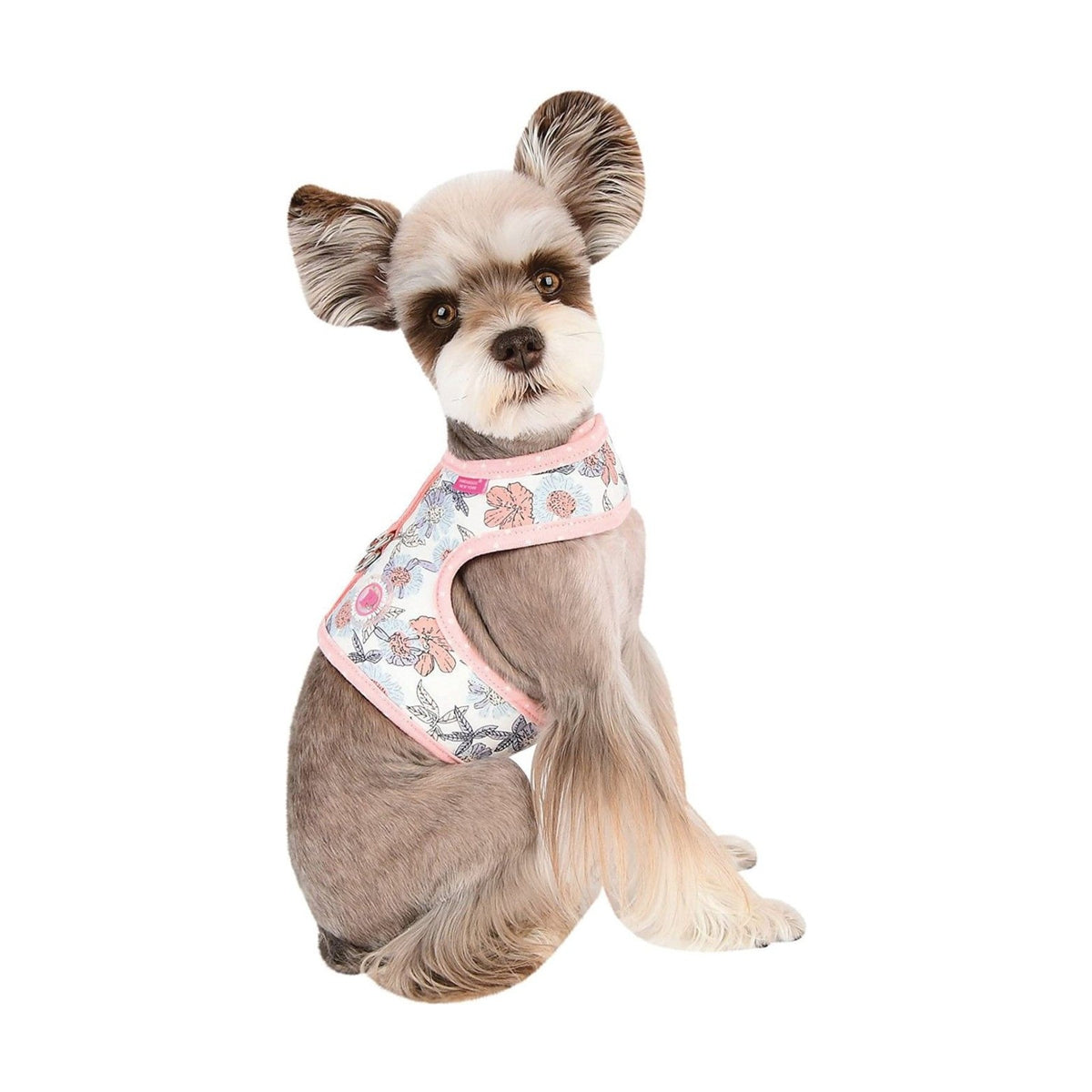PINKAHOLIC Harnais veste Zinnia – Harnais fleuri pour petit chien – photo 2