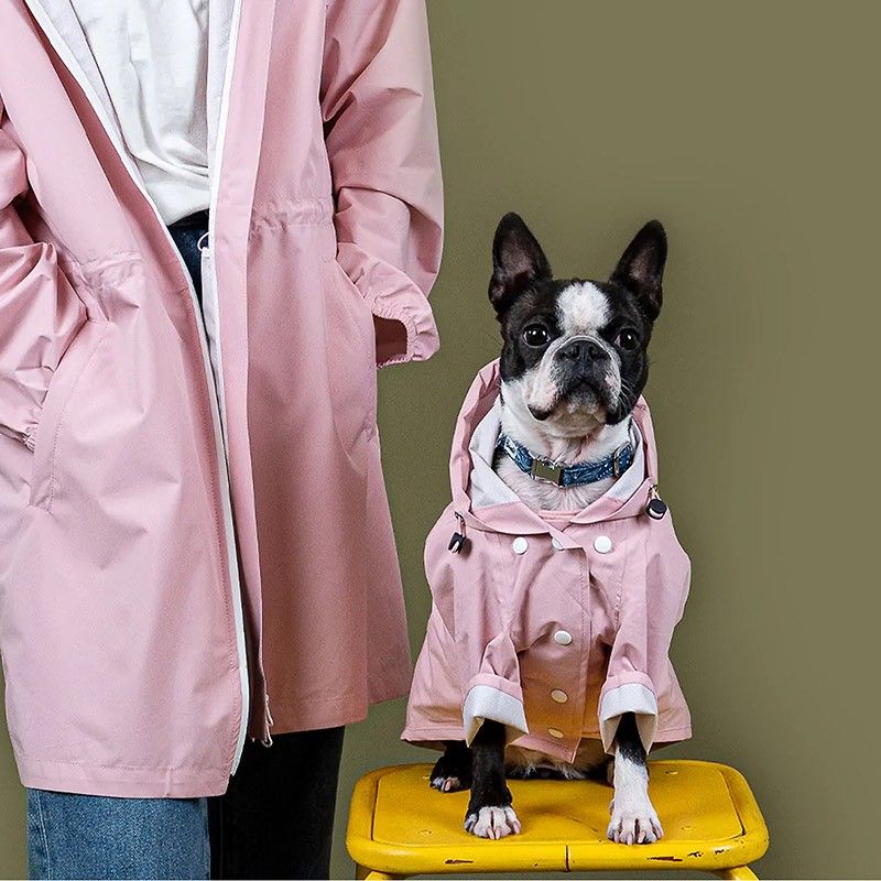 BANDIT Rain Coat – Manteau de pluie à capuche en polyester recyclé pour chien – photo 1