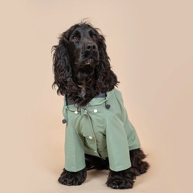 BANDIT Rain Coat – Manteau de pluie à capuche en polyester recyclé pour chien – photo 6