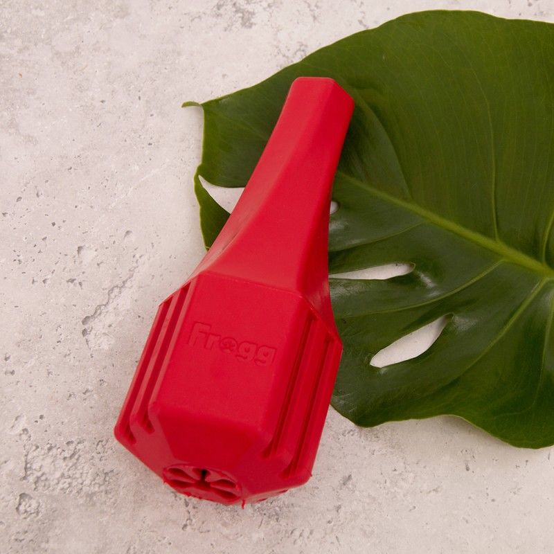 FROGG Bouteille – Jouet distributeur résistant pour chien – photo 2