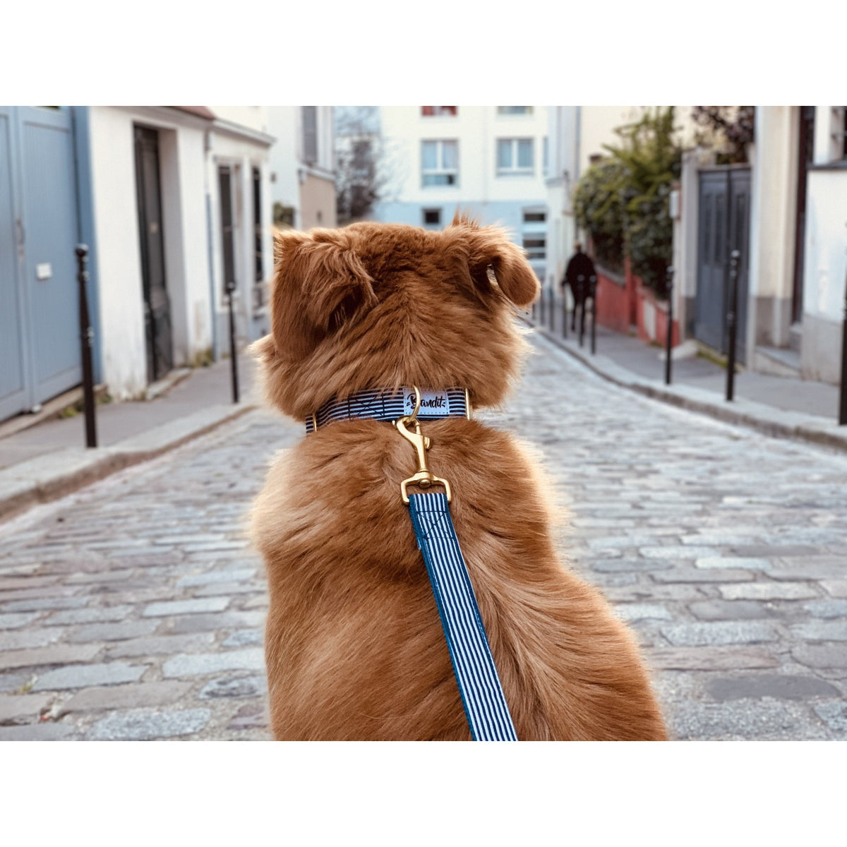 BANDIT Laisse In The Navy – Laisse 4 positions marinière pour chien – photo 4