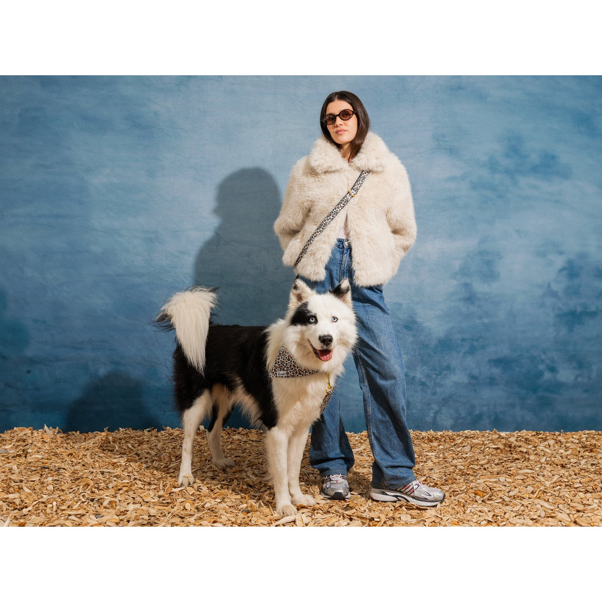 BANDIT Laisse Wild Wild Woof – Laisse 4 positions léopard pour chien – photo 2