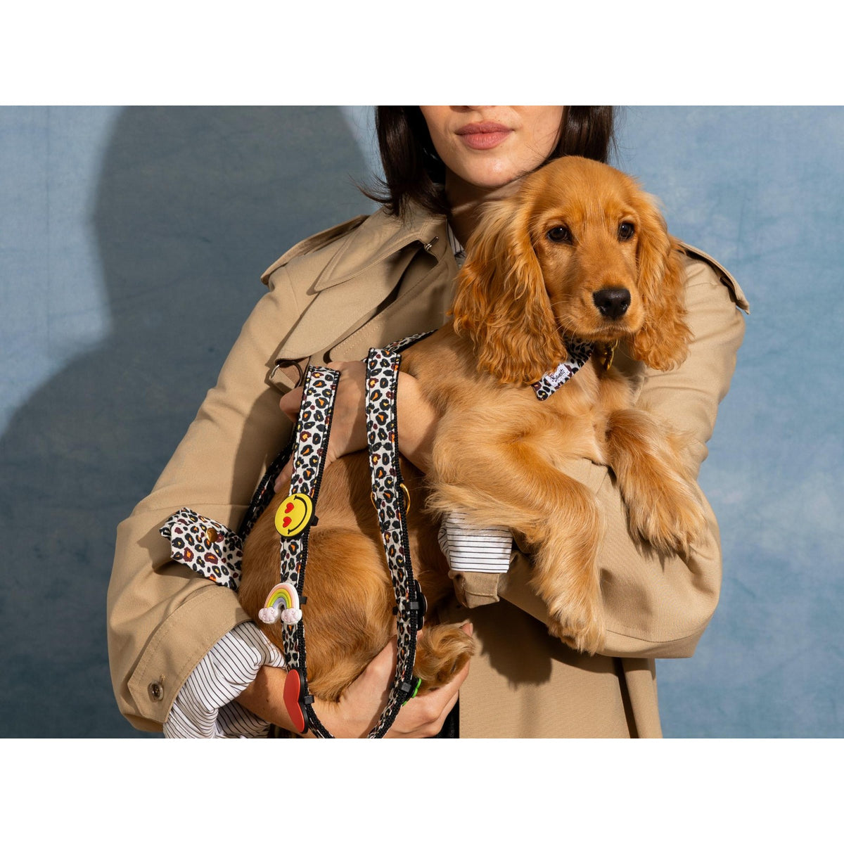 BANDIT Laisse Wild Wild Woof – Laisse 4 positions léopard pour chien – photo 4