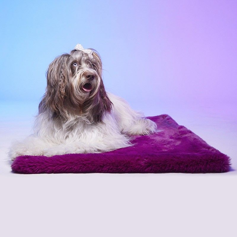 LE TAPIS ROUGE PARIS Tapis Tokyo – Tapis fausse fourrure pour chien et chat – photo 1
