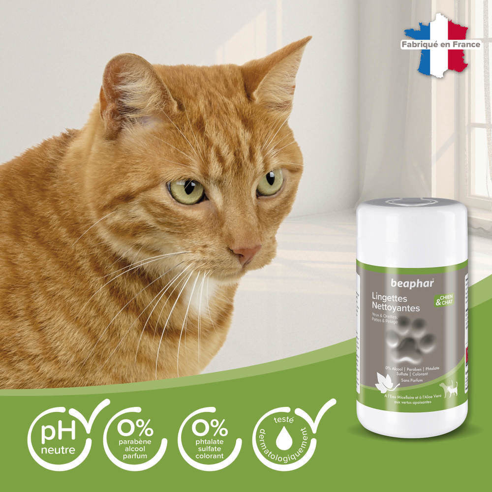 Beaphar Lingettes nettoyantes – Pattes, pelage, yeux et oreilles chien et chat – photo 3
