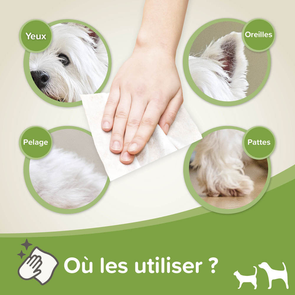 Beaphar Lingettes nettoyantes – Pattes, pelage, yeux et oreilles chien et chat – photo 5