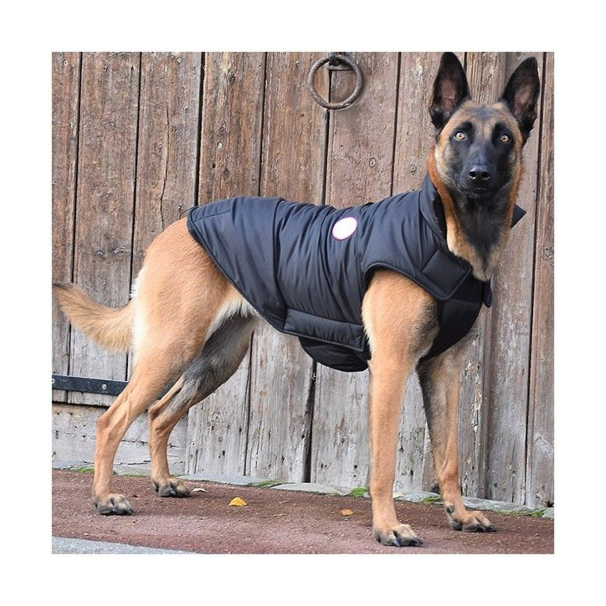BOBBY Manteau Dog – Doudoune doublée polaire pour chien, dos 25 cm, dos 28 cm ou dos 32 cm – photo 3