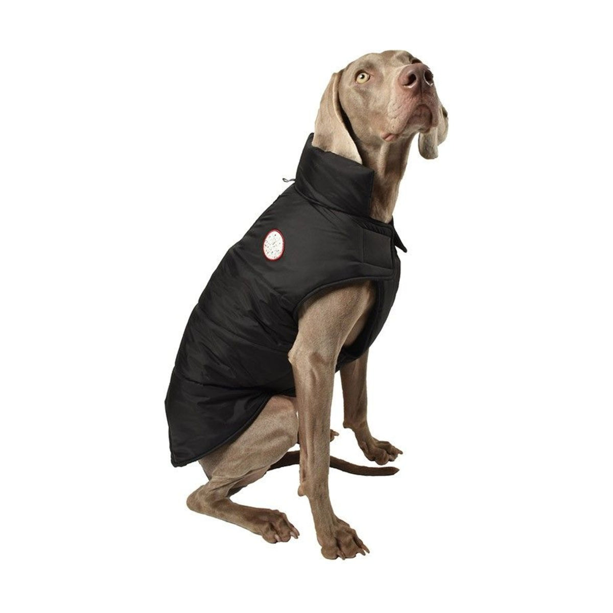 BOBBY Manteau Dog – Doudoune doublée polaire pour chien, dos 25 cm, dos 28 cm ou dos 32 cm – photo 6