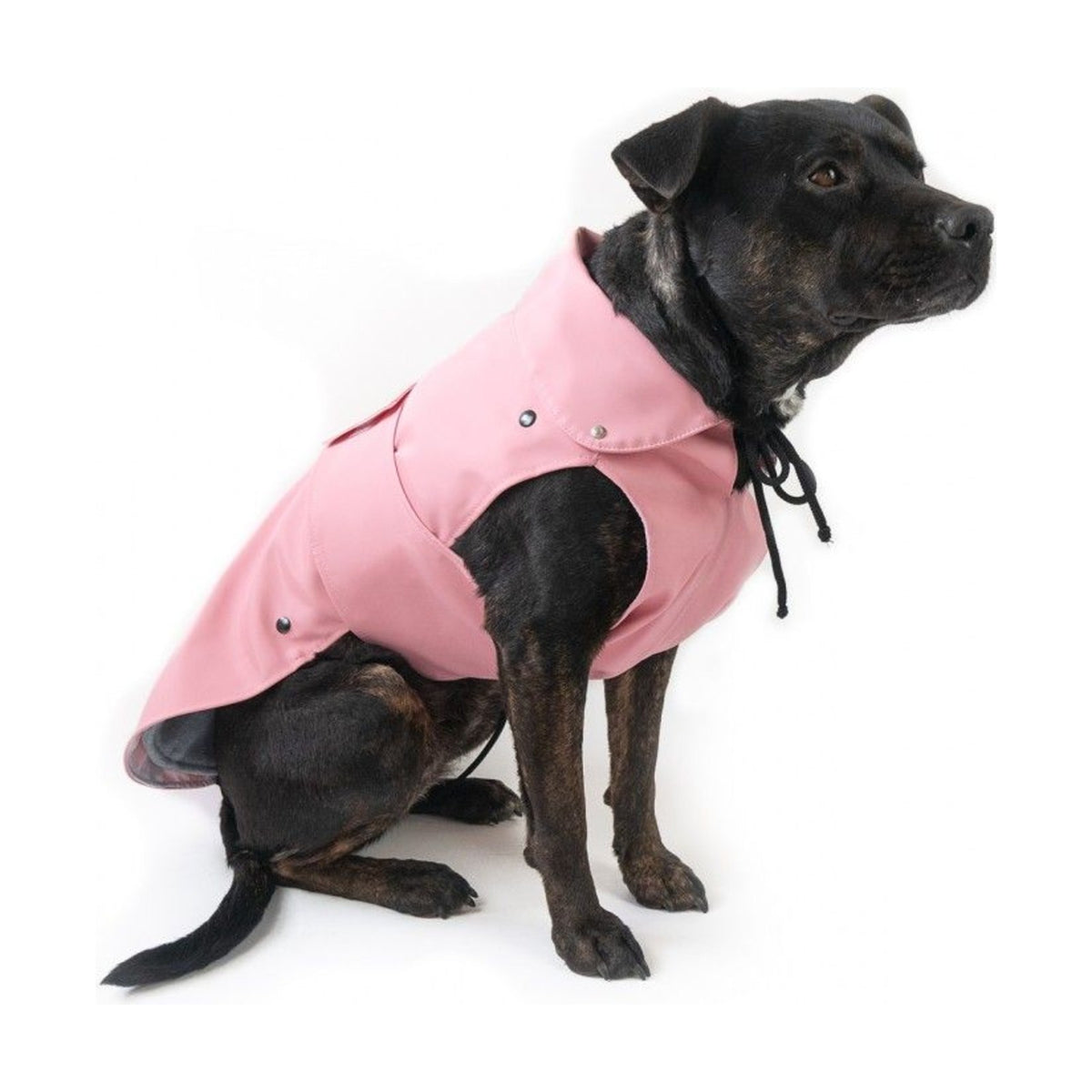 DOGLINE Manteau London noir – Imperméable doublé polaire amovible pour chien – photo 2