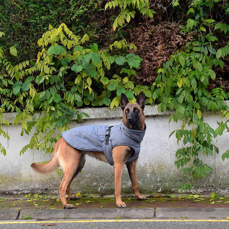 BOBBY Manteau Urban – Veste rembourrée doublée polaire pour chien – photo 1