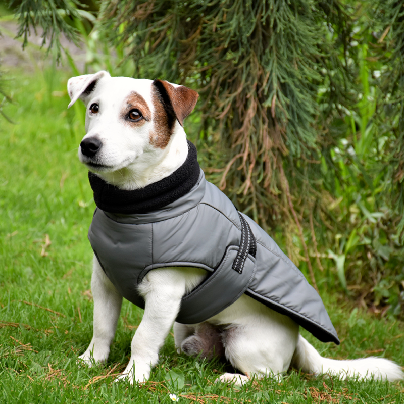 BOBBY Manteau Urban – Veste rembourrée doublée polaire pour chien – photo 4