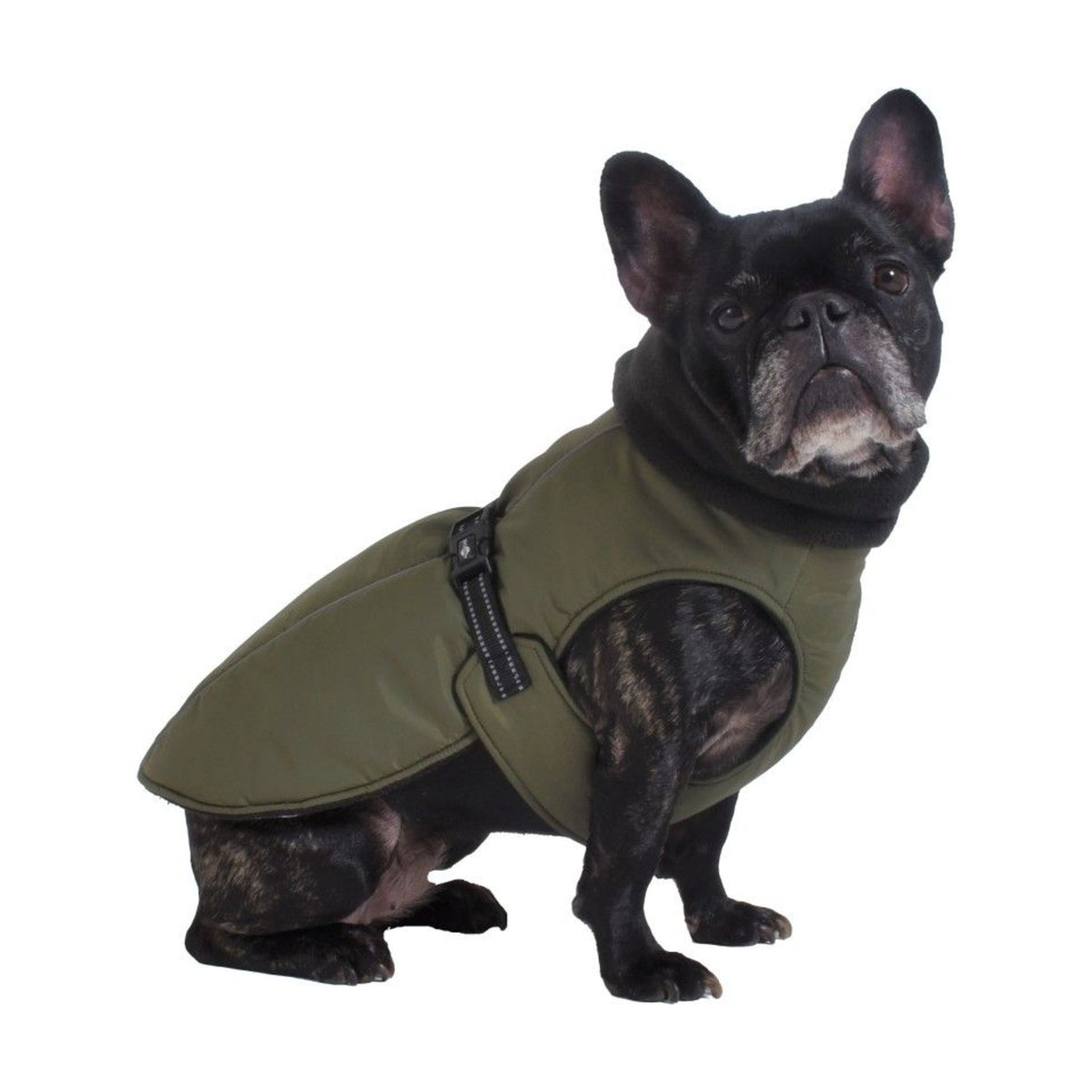 BOBBY Manteau Urban – Veste rembourrée doublée polaire pour chien – photo 5