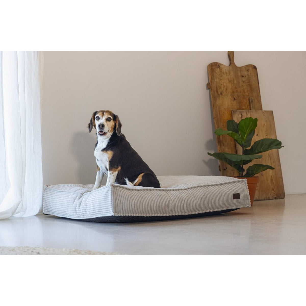 DESIGNED BY LOTTE Matelas Ribbed – Coussin en velours côtelé pour chien – photo 5